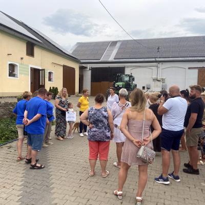 Szpaki 005